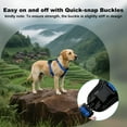 thumbnail image 4 of Plutus Pet Adjustable No Pull Dog Harness with Leather Accents, Heavy Duty Reflective Nylon Vest for Training, Hiking, Easy Walk Harness for Small, Medium, Large Dogs (Royal Blue, L), 4 of 8