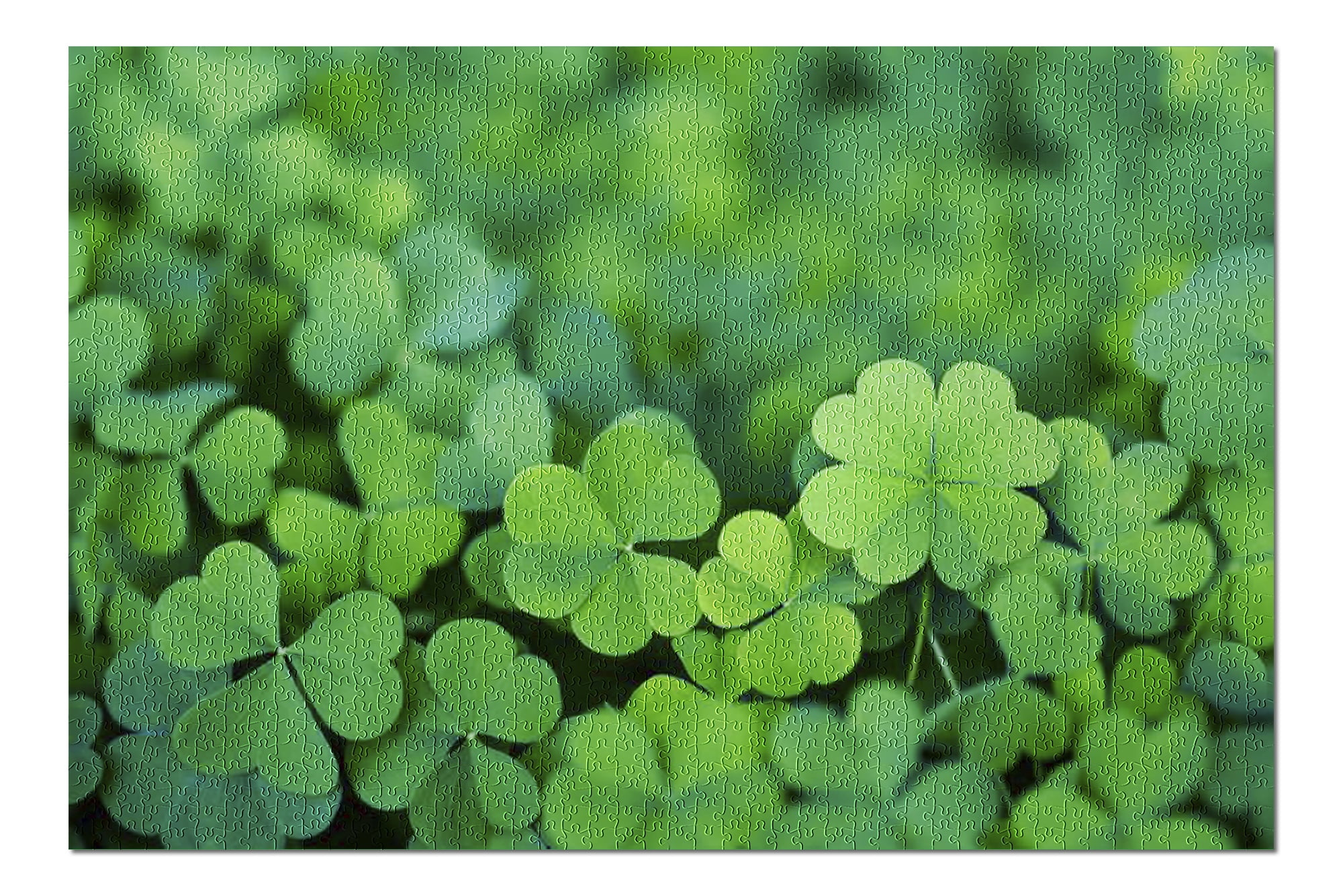 Haoyiyi 10x10ft Saint Patrick Backdrop Lucky Shamrock Clover Clovers Leaf Shamrocks Three Leaf Clover Spring Background Photography Family Baby Irish Ceilidh Party Photos Props Pictures Haoyiyi 10x10ft Saint Patrick Backdrop Lucky Shamrock Clover Clovers Leaf Shamrocks Three Leaf Clover Spring Background Photography Family Baby Irish Ceilidh Party Photos Props Pictures