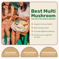 thumbnail image 2 of (Pack Of 4) Fungies Mushroom Multi Gummy 60 Pieces, 2 of 4