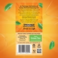 thumbnail image 4 of Twinings Peppermint Creamy Vanilla 20ct, 4 of 7
