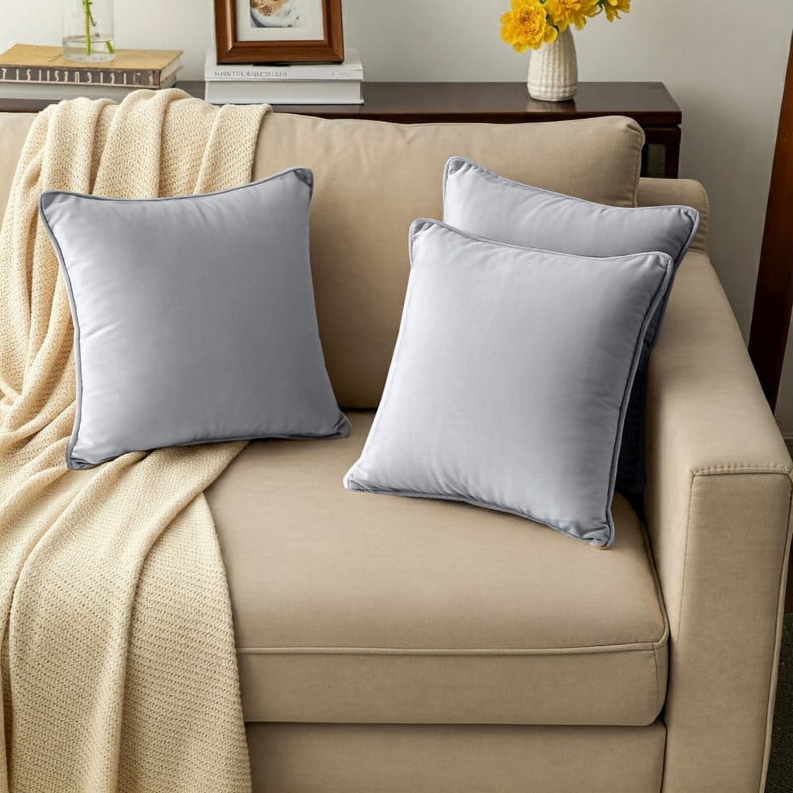 A1HC Set of 2 Luxurious Soft Velvet Throw Pillow Covers Only, 22"x22", Light Grey, Decorative Cushion Covers with Hidden YKK Zipper for Sofa or Bed