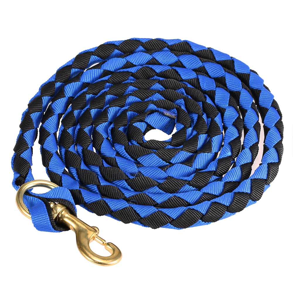 Embouchures Pour Chevaux, Cuir De Harnachement Et Corde Image stock