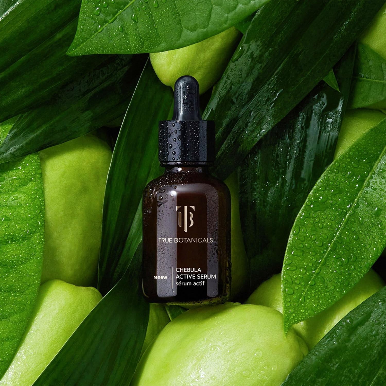 True Botanicals - Chebula Active Serum | Non-Toxic, Cruelty-Free | Anti-Aging Serum | Hyaluronic Acid | Targets Fine Lines & Wrinkles for All Skin Types | MADE Safe (1 fl oz | 30 ml)