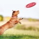 thumbnail image 2 of Anillo de entrenamiento para perros EVA con disco volador para perros y asas dobles, juguetes para Tomshoo  Disco volador, 2 of 7