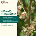 thumbnail image 5 of NY SPICE SHOP Dried Mugwort Herb - 3 Pound - Dry Herbal Leaves Tea Herb - Cut & Sifted, 5 of 7