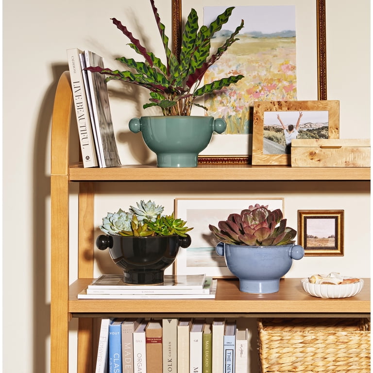 Beautiful by Drew Barrymore 7 Inch Ceramic Planter photo 8