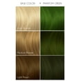 thumbnail image 4 of Arctic Fox 8-oz Phantom Green Semi-Permanent Vegan Hair Dye Color Cruelty Free, 4 of 5