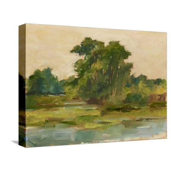 Art.com Changing Sunlight I Stretched Canvas Print Wall Art by Ethan Harper, 16" x 12"