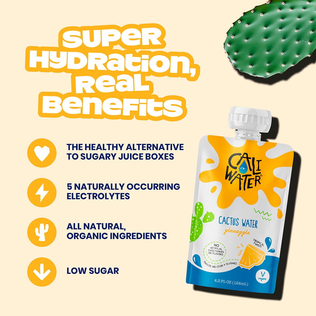 Pack of 6 Caliwater Water Cactus Pineapple Kid 6-Pack 25.2 oz