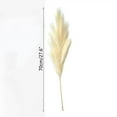 thumbnail image 7 of Artificial Pampas Grass Faux Bulrush Tall Reed Grass for Wedding Outdoor , yellow, 7 of 7