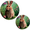 thumbnail image 7 of SKYSONIC 2Pcs Fluffy Little Bunny Spring Flower Pot Holders Trivets, Cute Rabbit Cotton Thread Weave Trivet Heat Resistant Mats Pot Teapot Protection Table Decorative, 7 of 7