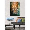 thumbnail image 3 of Tiger - Water Wall Poster, 22.375" x 34", 3 of 3
