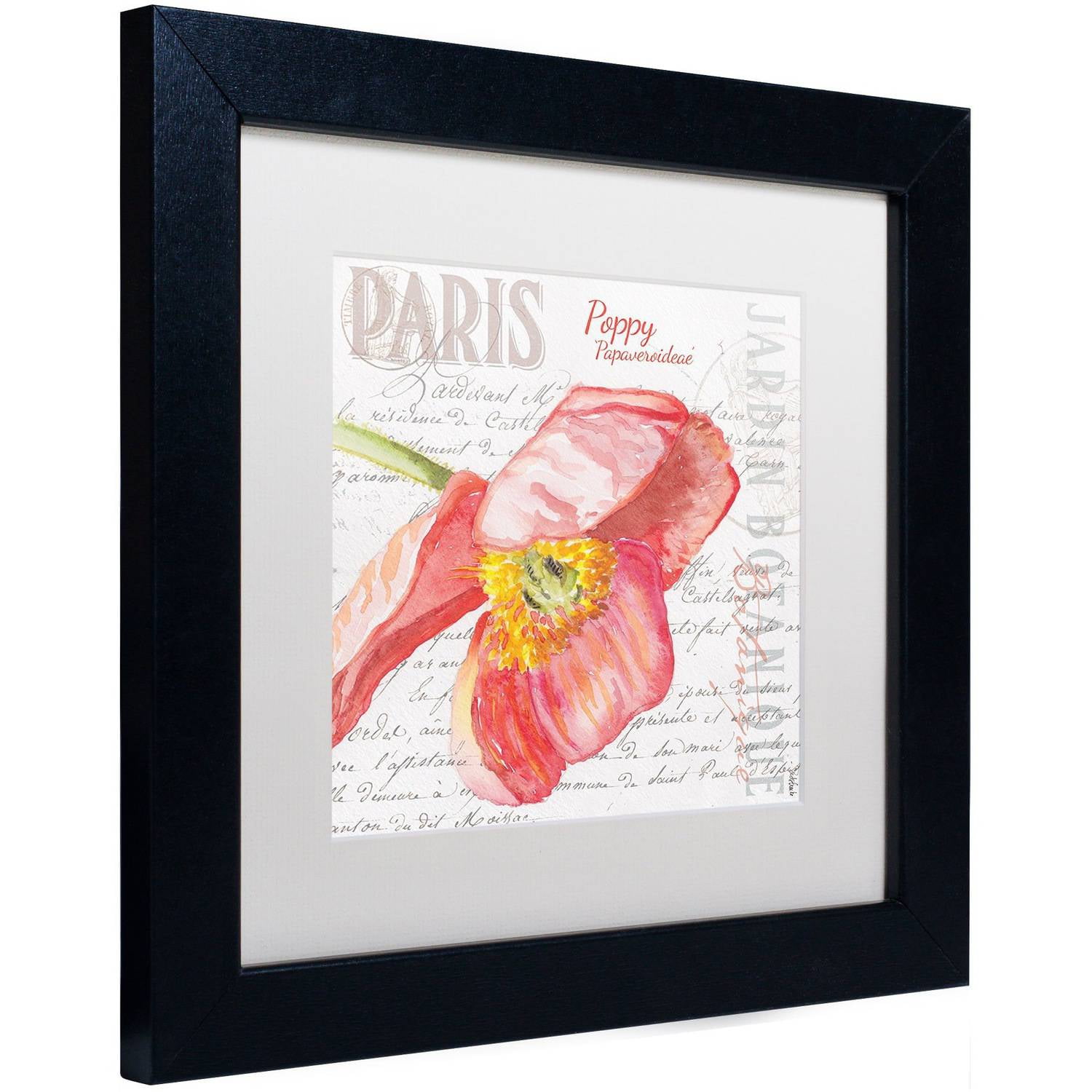 Trademark Fine Art "Paris Botanique Red Poppy" Canvas Art by Jennifer Redstreake White Matte, Black Frame