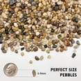 thumbnail image 2 of NOGIS 0.77 lb Aquarium Gravel, 6-9mm Polished Fish Tank Rocks for Aquarium Decor, River Rocks for Indoor Plants Succulents, Decorative Stones for Outdoor Garden Decor, 2 of 7