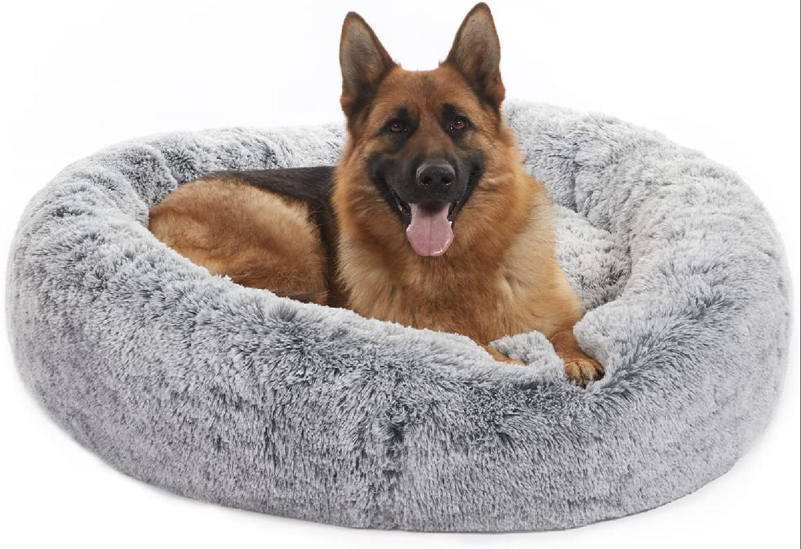 anxiety beds for large dogs