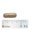 thumbnail image 7 of Nature's Way Super Milk Thistle Capsules, Promotes Healthy Liver Function*, Unisex, 120ct, 7 of 7