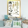 thumbnail image 3 of Designart 'Ancient Plant Life VIII' Farmhouse Framed Art Print, 3 of 4
