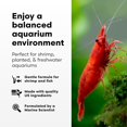 thumbnail image 3 of Acondicionador para acuario Brightwell Aquatics FlorinBacter7 2 L, 3 of 7