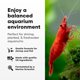 thumbnail image 3 of Acondicionador para acuarios Brightwell Aquatics FlorinBacter7 20 L, 3 of 7
