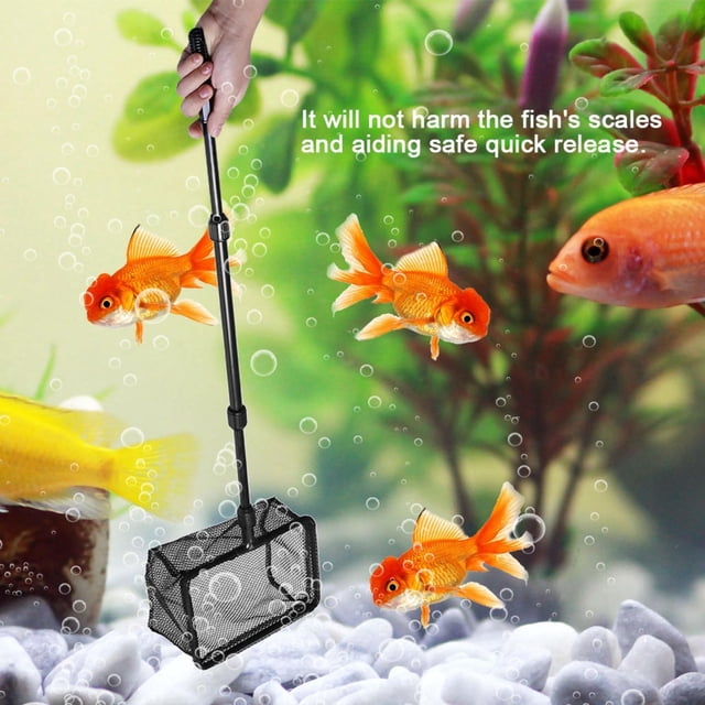 Red para peces de colores, red retráctil para pesca de camarones para acuarios, red de aterrizaje para pesca de camarones con capacidad de respuesta ultrarrápida