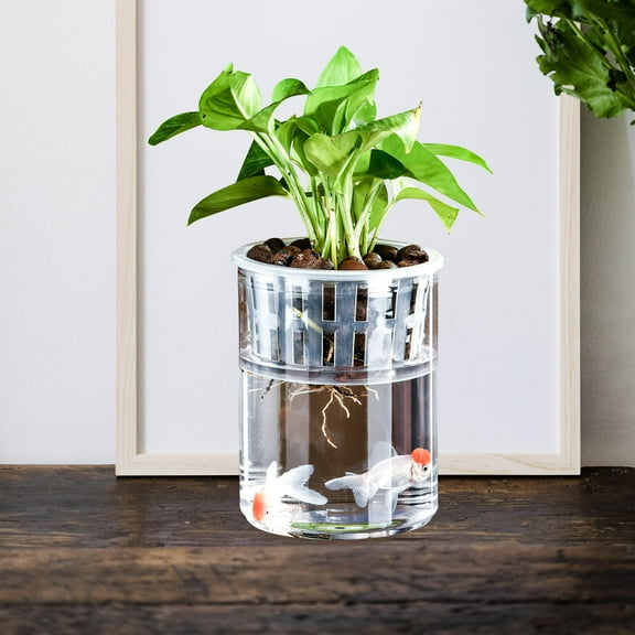 HEANUJJ Durable Clear Plastic Fish Tank for Feeding with Hydroponic Plant Pot and Tabletop Decoration