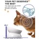 thumbnail image 5 of Cuenco para gatos antivómitos, cuencos elevados para comida para gatos, cuenco elevado inclinado para gatos, cuenco de cerámica para comida para perros pequeños, protege la columna vertebral de las m, 5 of 5