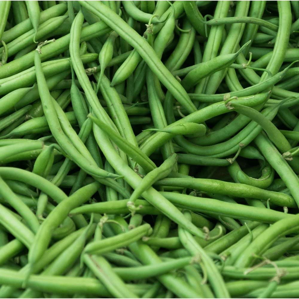 Foster’s Pickled Green Beans- Original- 16oz (2 Pack) - Pickled Green Beans in a Jar - Traditional Pickled Vegetables Recipe for 30 years - Gluten Free- Fat Free - Preservative Free - Pickled Beans
