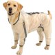 thumbnail image 1 of Impermeable para Perro, Poncho con Capucha para Perro, Chamarra de Lluvia para Perro de 4 Patas con Rayas Reflectantes, Transparente Resistente al Agua, Ropa de Lluvia (Blanco), 1 of 4