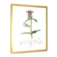 thumbnail image 2 of Designart 'Ancient Insects and Plants II' Farmhouse Framed Art Print, 2 of 4