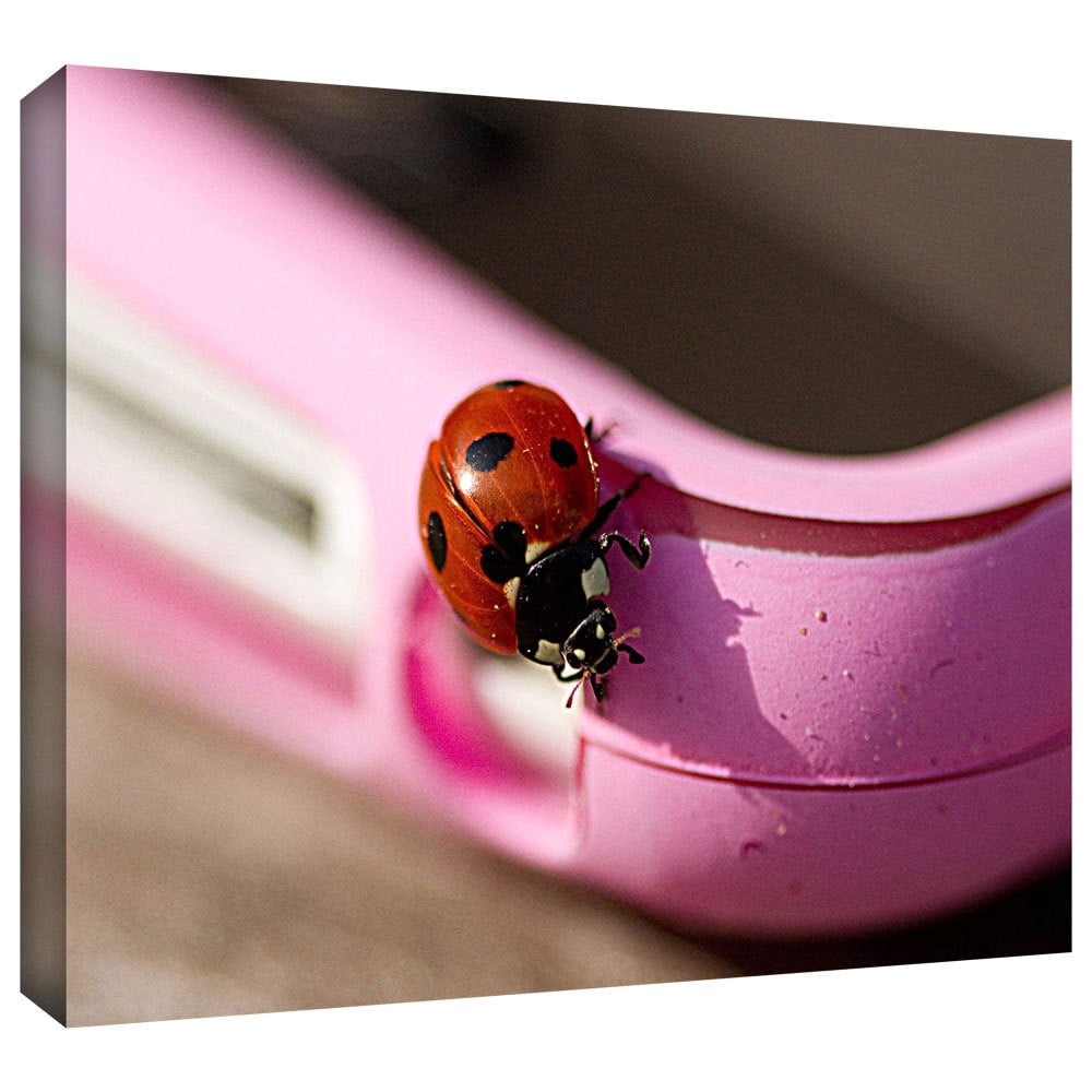 Lindsey Janich "Iphone Bird" Gallery-Wrapped Canvas