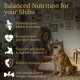 thumbnail image 2 of Suplemento multivitamínico Prestige Breed para perro Shiba Inu, 90 piezas, 2 of 6