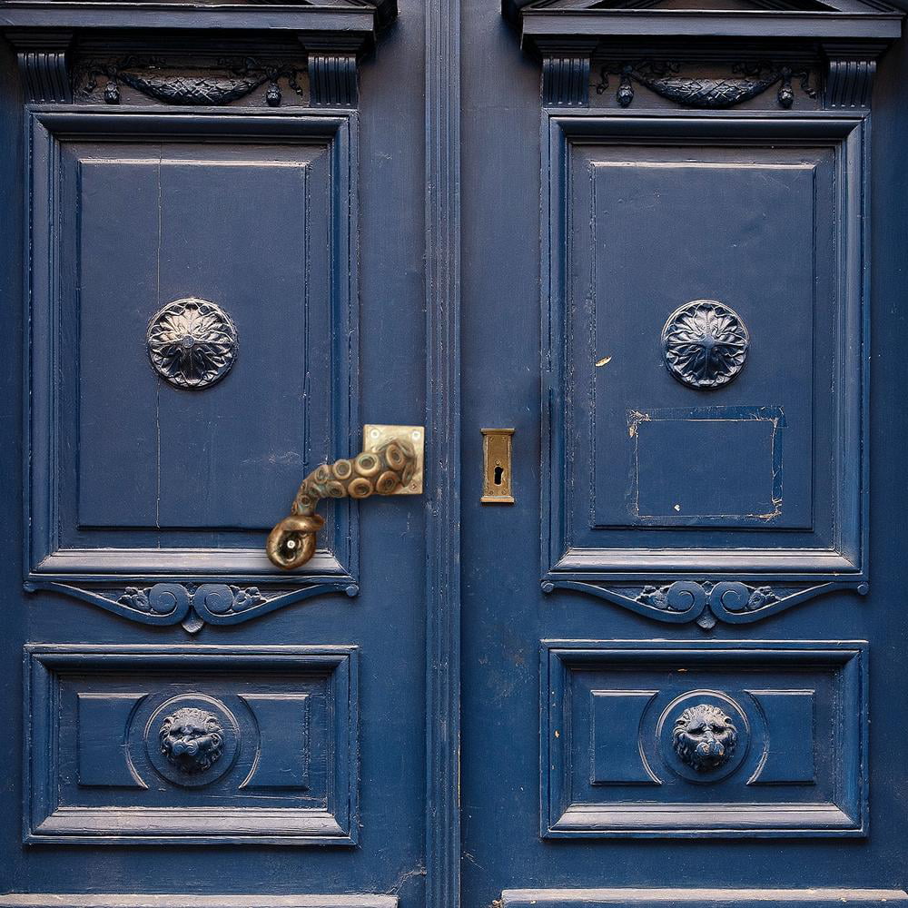 Why Do French Doors Have The Knob In The Middle – Octopus Doors