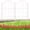 White, variant on Rustproof Metal Garden Fence 17in x 10ft, 10 Pack No Dig Animal Barrier, Arched Flower Bed Edging Ornamental Wire Border Panel for Yard Patio Outdoor Decor