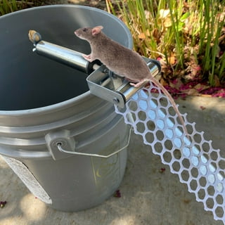 Mouse Trap Live Catch and Release Bucket Spin Roller With An
