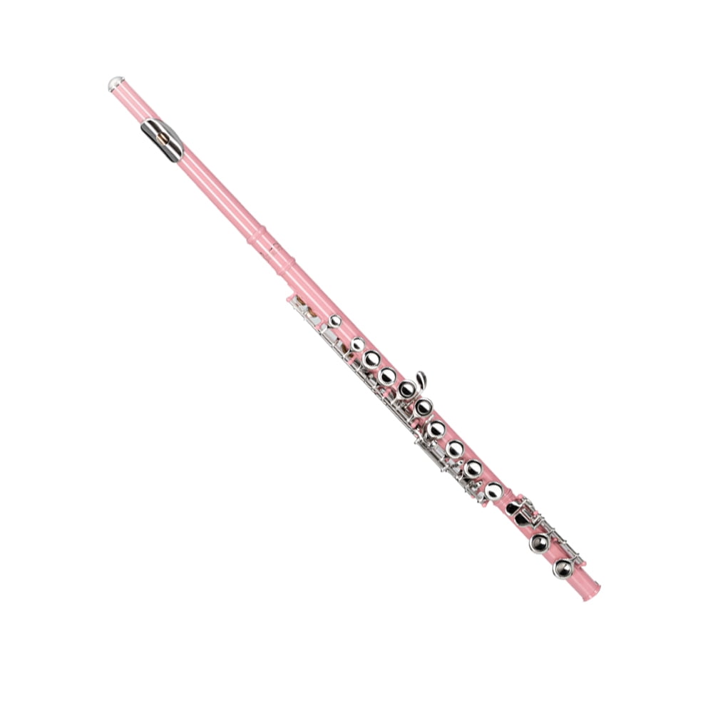 Kepooman 16 Keys C Closed Hole Cupronickel Flute with Separated E Key & Hard Case & Cleaning Kit, Pink