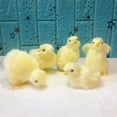 thumbnail image 4 of 3 inch Realistic Chick Plush Toy Simulation Stuffed Animal Soft Cuddly Design Fabric Friends Easter Basket Filler Birthday Gift Home Decor, 4 of 4