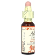 Bach Original Flower Remedies, Aspen, 0.35 fl oz (10 ml)