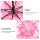 thumbnail image 3 of Paraguas transparentes creativos Decoración floral Protección solar Llovelan, 3 of 5