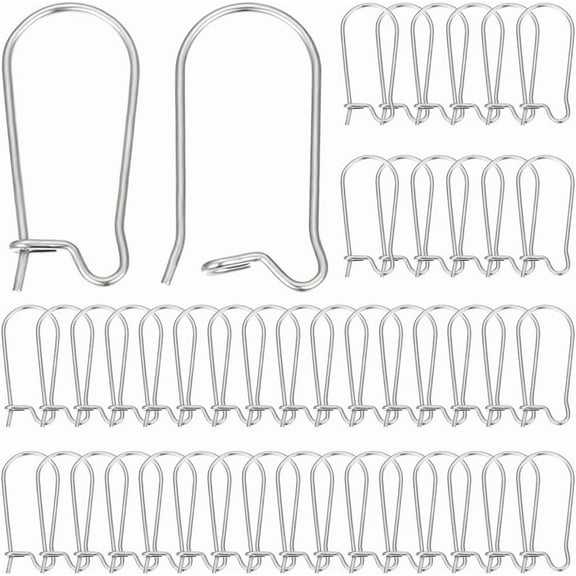 1 Box 120Pcs Kidney Ear Wires Stainless Steel Kidney Earring Earring Hooks 20mm Dangle Wire for Jewellery Making DIY