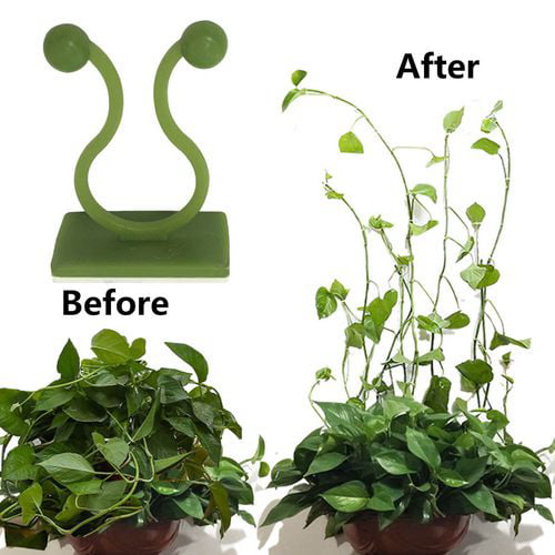 Rattan Plant Climbing Wall Clip Garden Vine Support Indoor Invisible Hook Useful 