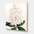 thumbnail image 3 of Ancient White Orchid III 16 in x 32 in Painting Canvas Art Print, by Designart, 3 of 4