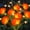Orange-4 Pack, variant on Landscape & Walkway Lights Orange 4 Pack Solar Outdoor Decor
