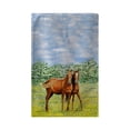 thumbnail image 1 of Two Horses Beach Towel - 30 x 50 in., 1 of 1