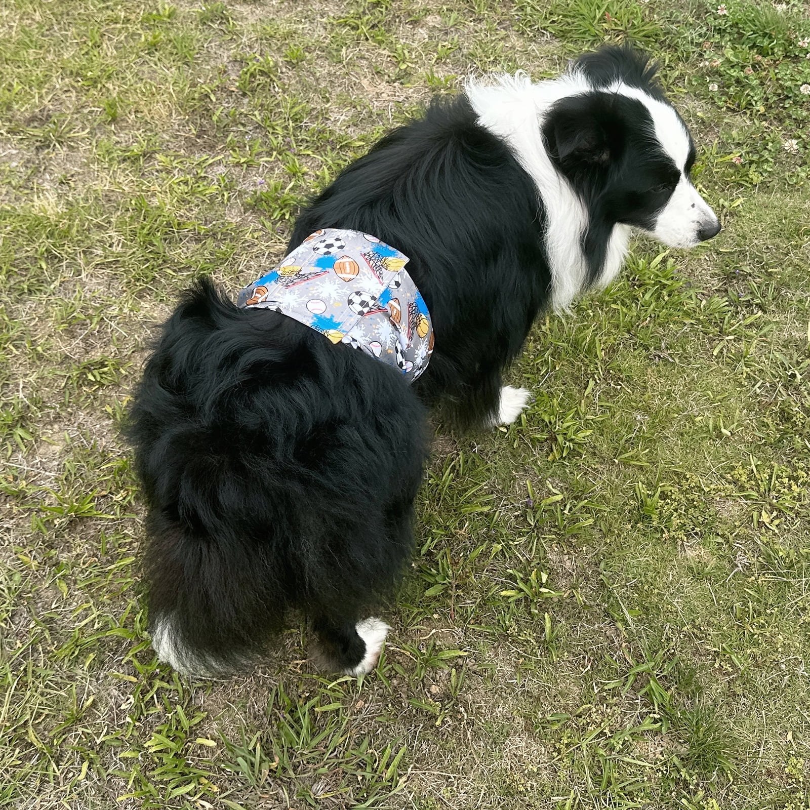 BLIWINPT Dog Belly Bands for Male Dogs Premium Washable Doggy Diapers Washable Dogs Belly Bands with Cute Patterns 5packs (XXL, 21” - 27” Waist)