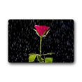 thumbnail image 1 of RYLABLUE Tapis de Sol Nature Pluie et Rose Rouge Tapis de Sol Extérieur/intérieur Taille 30x18 Pouces, 1 of 1