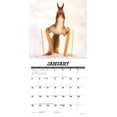 thumbnail image 3 of Gettin' Squirrelly 2026 7 X 7 Mini Wall Calendar, (Hardcover), 3 of 5
