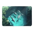 thumbnail image 1 of Crystal Velvet Dolphins Floor Mat for Men Water-Absorbent Door Mat for Women Non-Slip Entryway Mat Bathroom Rug Polyester 50X80Cm, 1 of 6