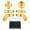 Gold, variant on QXWPBV Magnetic Metal D-Pad and Back Paddle Kit for Xbox Elite Series 1, Series 2 and Series 2 Core Controllers, Black, 7 Piece