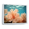 thumbnail image 2 of Designart "Soft Coral Artistry" Coastal Coral Under Water Floater Framed Canvas Prints, 2 of 5