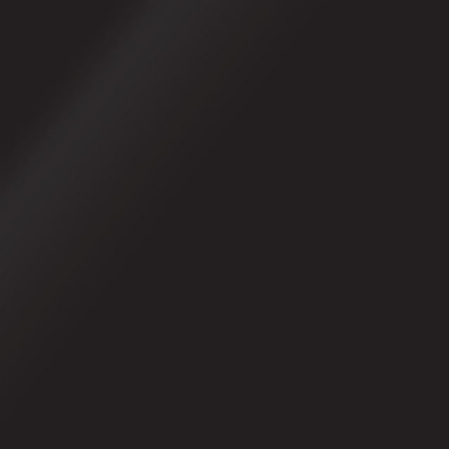Por 15 Peinture 45908 Châssis Noir; Conserve; 16 Onces; Simple